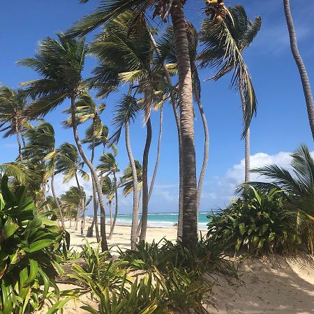Art Villa Dominicana Punta Cana Zewnętrze zdjęcie