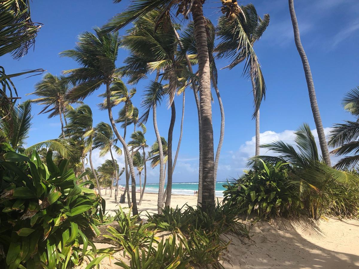 Art Villa Dominicana Punta Cana Zewnętrze zdjęcie